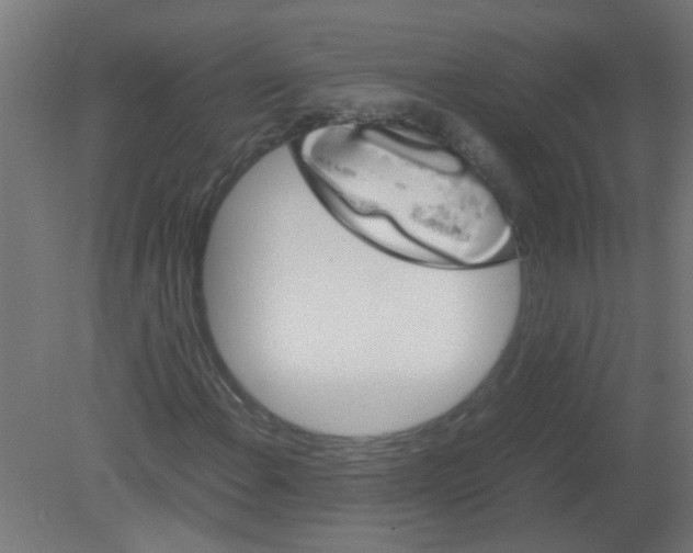 X0000080811108200701122233