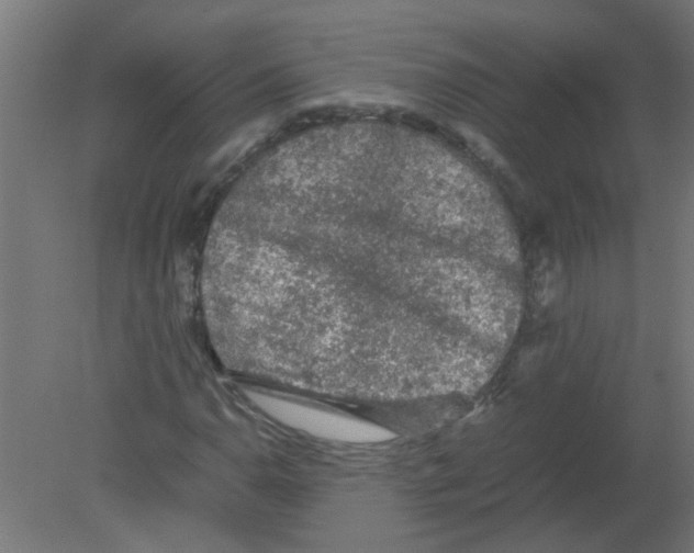 X0000080811110200701122233