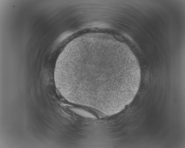 X0000080811112200701122233