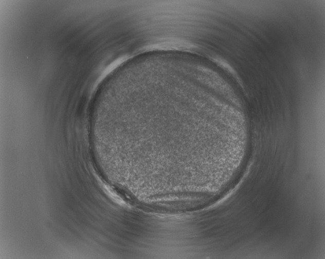 X0000080811114200701122233