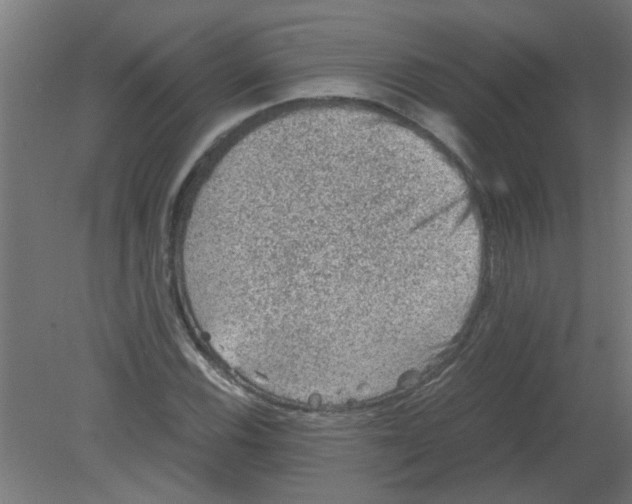 X0000080811116200701122233