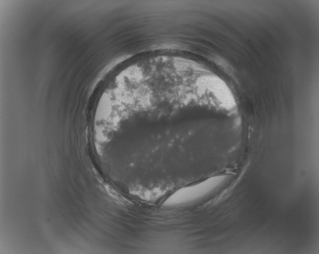 X0000080811117200701122233