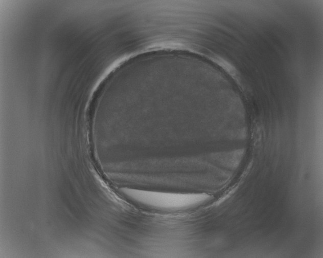 X0000080811118200701122233