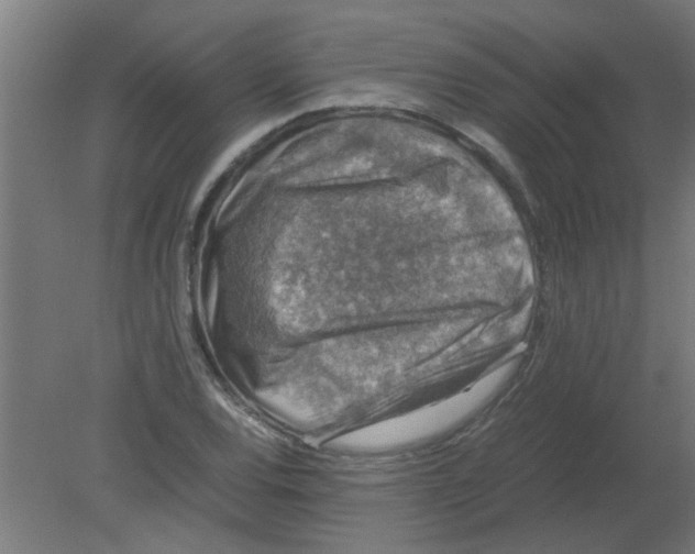 X0000080811120200701122233