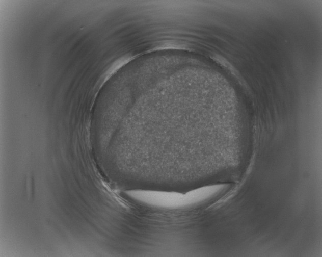 X0000080811121200701122234