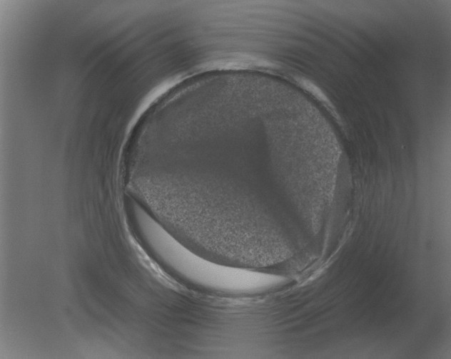 X0000080811122200701122234