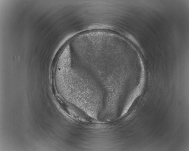 X0000080811124200701122234