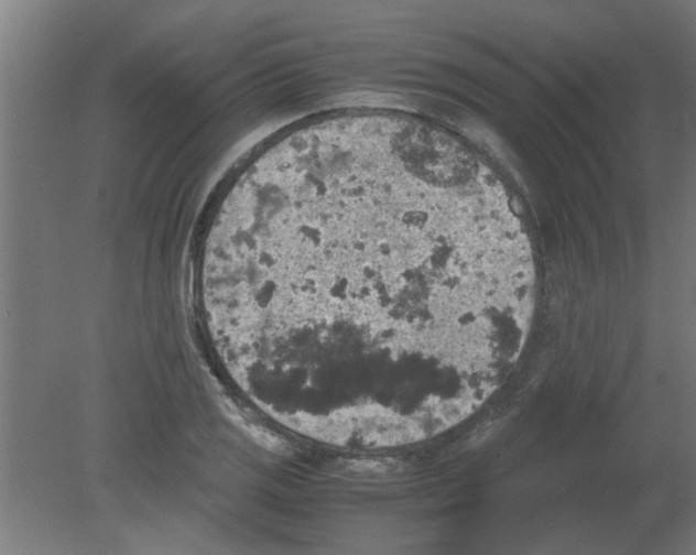 X0000080811125200701122234