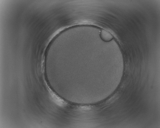 X0000080811126200701122234