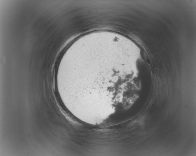 X0000080811127200701122234