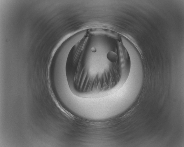 X0000080811128200701122234