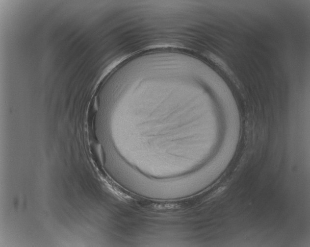 X0000080811129200701122234