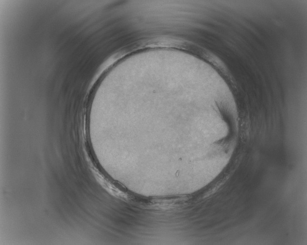 X0000080811130200701122234