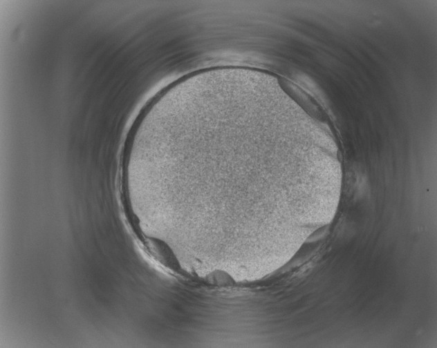 X0000080811136200701122234