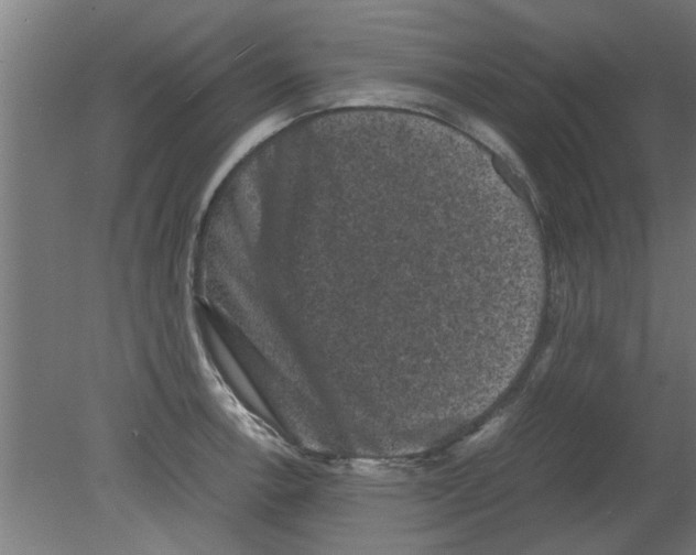 X0000080811138200701122234