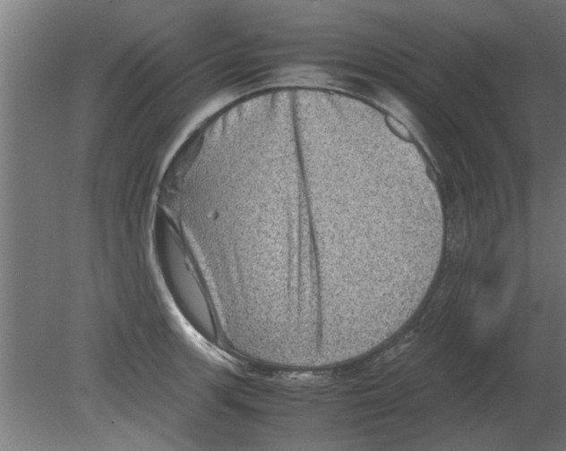 X0000080811139200701122234