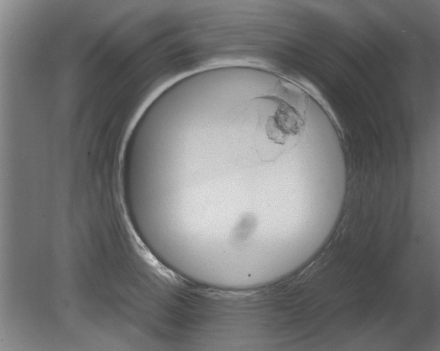 X0000080811140200701122234