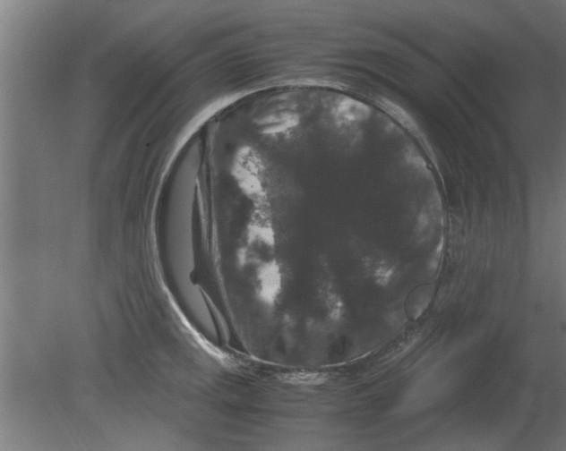 X0000080811141200701122234