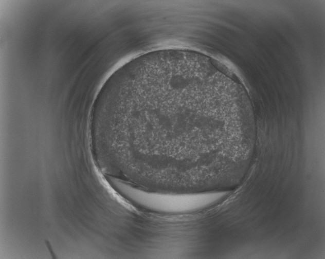 X0000080811142200701122234