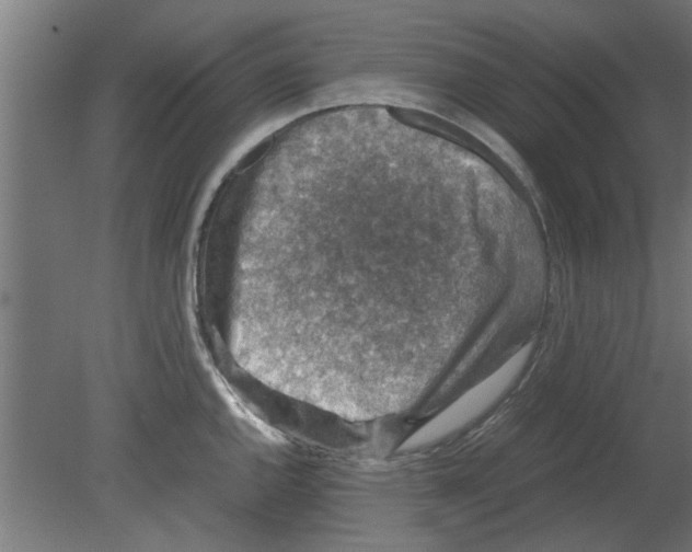 X0000080811144200701122234