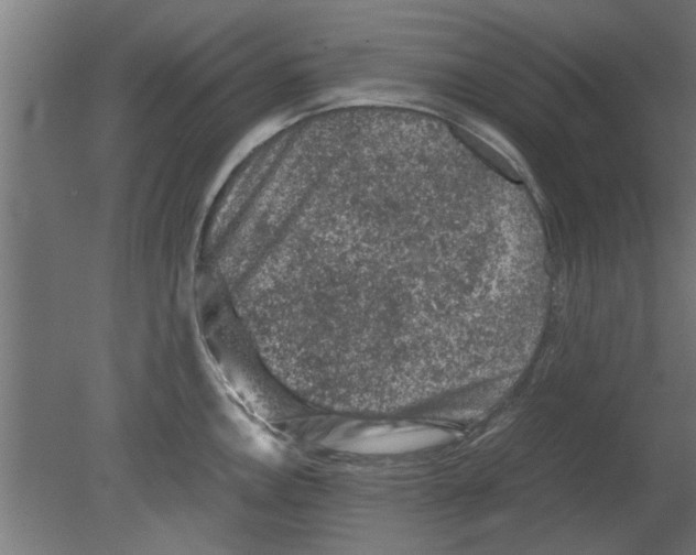 X0000080811146200701122234