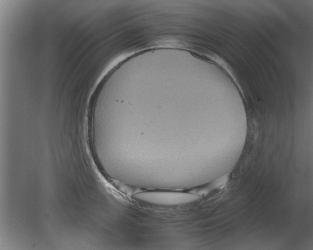 X0000080811147200701122234