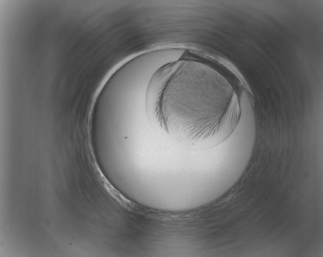 X0000080811148200701122234