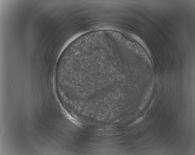 X0000080811149200701122234