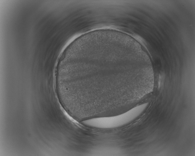 X0000080811151200701122234