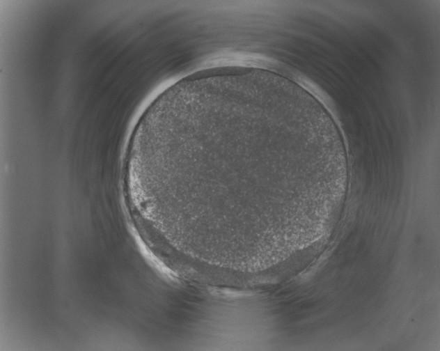 X0000080811152200701122234