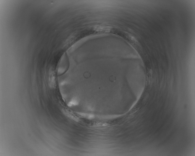 X0000080811154200701122233