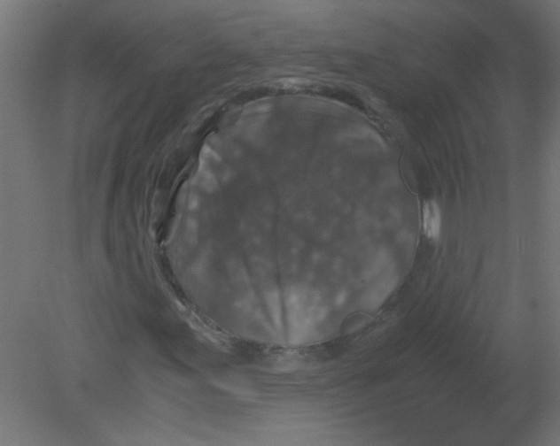 X0000080811155200701122233