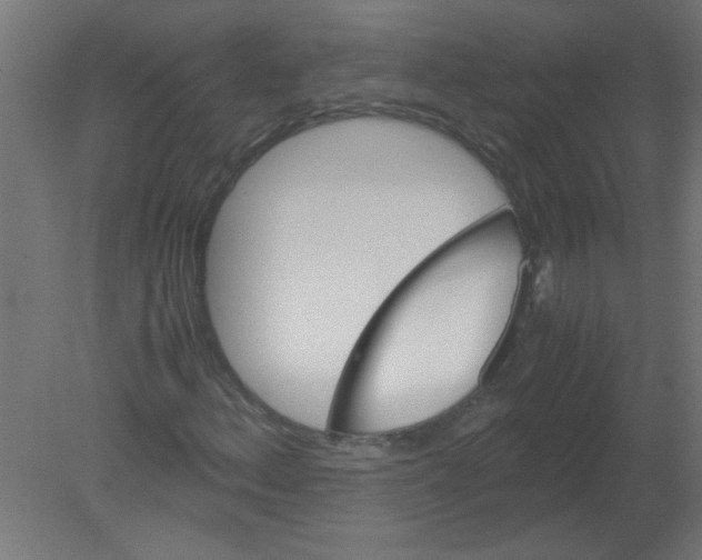 X0000080811156200701122233