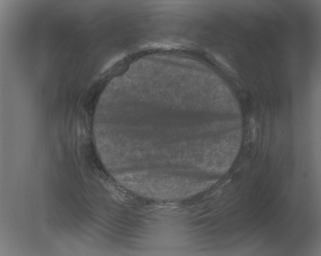 X0000080811158200701122233