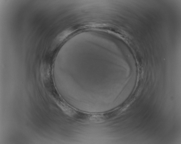 X0000080811161200701122233