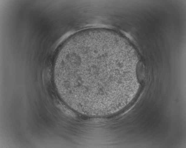 X0000080811163200701122233