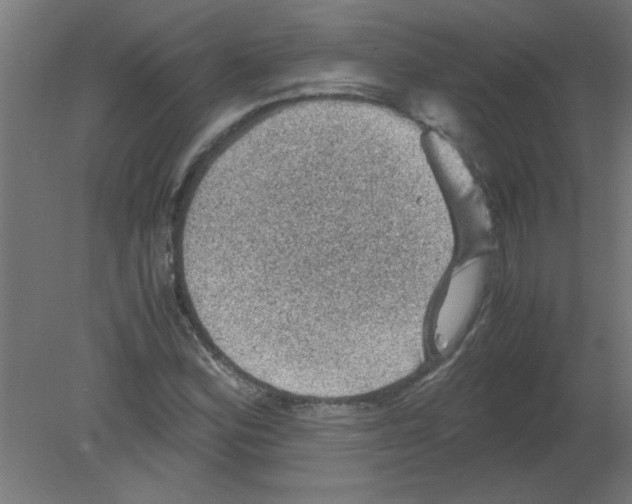 X0000080811164200701122233