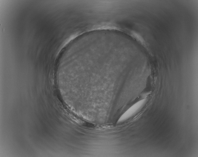 X0000080811165200701122233