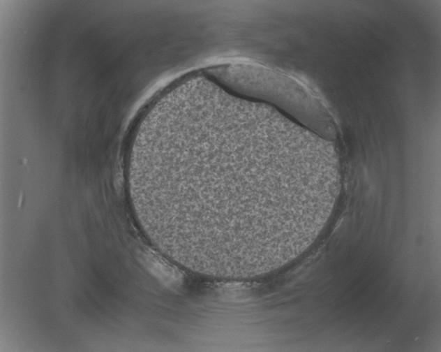 X0000080811167200701122233