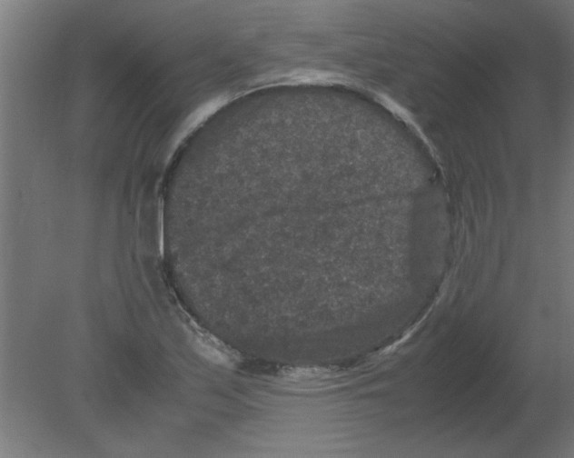 X0000080811171200701122233