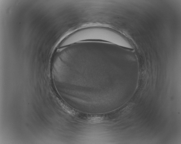 X0000080811173200701122233