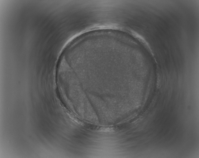 X0000080811174200701122233