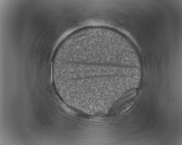 X0000080811175200701122233