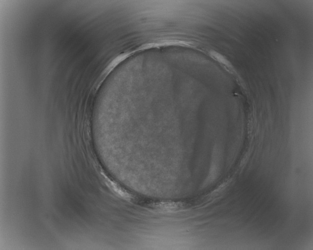 X0000080811177200701122233