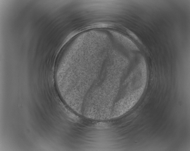 X0000080811178200701122233