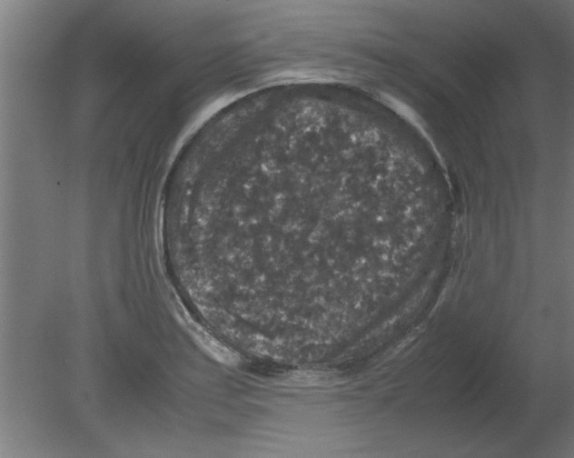 X0000080811179200701122233