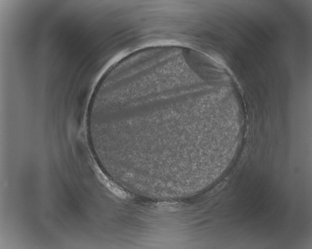 X0000080811181200701122233