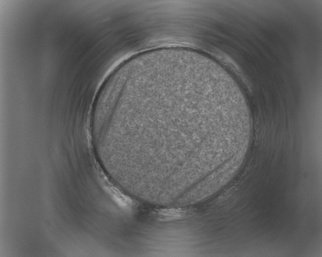 X0000080811182200701122233