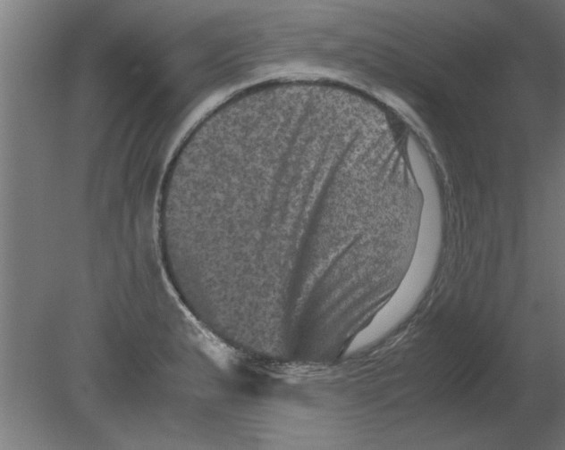 X0000080811183200701122233