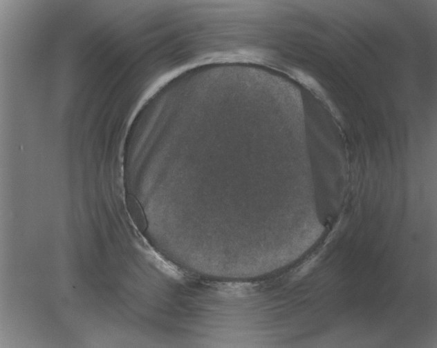 X0000080811184200701122233